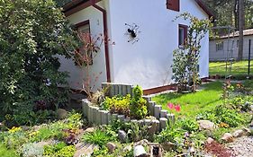gemütlicher Bungalow am Rand der Dübener Heide